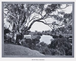 Rzeka Mitchell, Bairnsdale (zdjęcie czarno-białe) autorstwa Photographer Australian