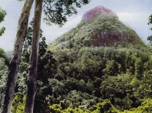 Queensland, Australia: Mt Cordeaux (na zdjęciu) autorstwa Photographer Australian