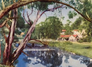 Spokojny strumień (zdjęcie kolorowe) autorstwa Photographer Australian