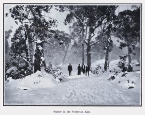 Zima w Alpach Wiktoriańskich (zdjęcie czarno-białe) autorstwa Photographer Australian