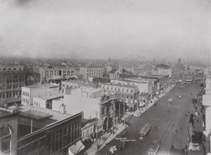 Winnipeg z lotu ptaka (zdjęcie czarno-białe) autorstwa Photographer Canadian
