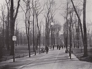 W Tiergarten, Ahornsteig (zdjęcie czarno-białe) autorstwa Photographer German