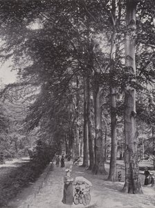 W Tiergarten, zacieniona ścieżka (zdjęcie czarno-białe) autorstwa Photographer German