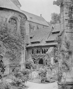 Tausendjahriger Rosenstock (b / w zdjęcie) autorstwa Photographer German