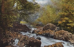 Irlandia: In The Dargle, hrabstwo Wicklow (kolorowe zdjęcie) autorstwa Photographer Irish