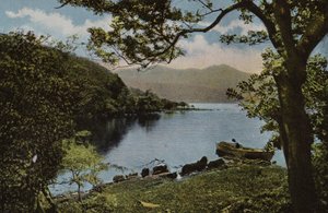 Irlandia Południowa: W Innisfallen, Killarney (kolorowe zdjęcie) autorstwa Photographer Irish