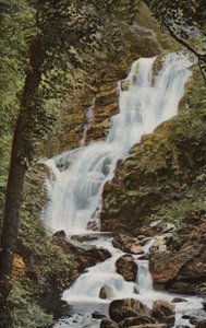 Irlandia Południowa: Torc Cascade, Killarney (kolorowe zdjęcie) autorstwa Photographer Irish