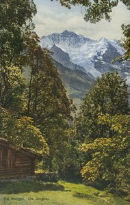 Wengen, Szwajcaria (zdjęcie kolorowe) autorstwa Photographer Swiss