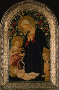 Madonna adorująca Dzieciątko z Dzieciątkiem Św. Jan Chrzciciel, Anioł i Róża Hedge z tyłu (tempera na panelu)