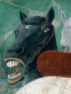 Legenda o prawdziwym krzyżu, przyjęcie królowej Saby przez króla Salomona, fragment konia, ukończony fresk z 1464 r.