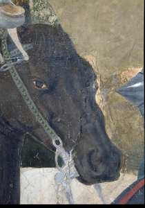 Legenda o prawdziwym krzyżu, zwycięstwo Konstantyna w bitwie pod mostem Mulwijskim, fragment głowy konia, ukończony fresk z 1464 r. patrz także 116343
