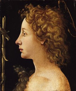 Młody św. Jan Chrzciciel (tempera i olej na drewnie) autorstwa Piero di Cosimo