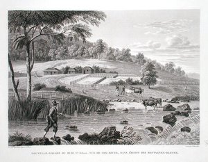 Nowa Południowa Walia, Nowa Holandia: Widok rzeki Cox w zachodniej części Gór Błękitnych, z "Voyage Autour du Monde (1817-20)", autorstwa Louis Claude Desaulses de Freycinet (1779-1842) rytowany przez Schroedera, wydany 1822-24 (litho) autorstwa Pierre Antoine (after) Marchais