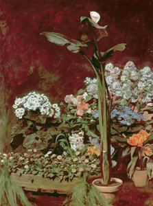 Lilia i rośliny szklarniowe autorstwa Pierre Auguste Renoir