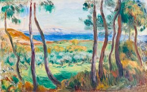 Sosny w pobliżu Cagnes, ok. 1910 (olej na płótnie) autorstwa Pierre Auguste Renoir