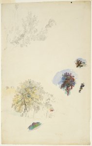 Badania drzew i liści autorstwa Pierre Auguste Renoir