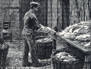 Skóra: dzielenie skór króliczych w celu wytworzenia skóry Rycina z „Excursion a travers les metiers” autorstwa Pierre Calmette Private Collection autorstwa Pierre Calmettes