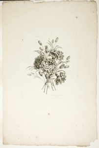 Bukiet z goździkami, z kolekcji różnych bukietów kwiatów, wymyślony i narysowany przez Jeana Pillementa i grawerowany przez P.C. Canota autorstwa Pierre Charles Canot