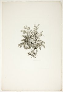 Bukiet z piwoniami, z kolekcji różnych bukietów kwiatów, wymyślonych i narysowanych przez Jeana Pillementa i wygrawerowanych przez P. C. Canota autorstwa Pierre Charles Canot