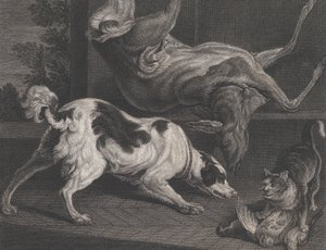 Psy i martwa natura, 1778