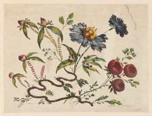 Druk, Konary kwiatów, z "Recueil de Differentes Fleurs de Fantaisie Dans le Goût Chinois". autorstwa Pierre Charles Canot