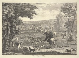 Jeleń w zatoce autorstwa Pierre Charles Canot