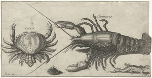 Homar, krab, salamandra i muszla Wędkarstwo (tytuł serii) Ikony Piscium vivae (tytuł serii)