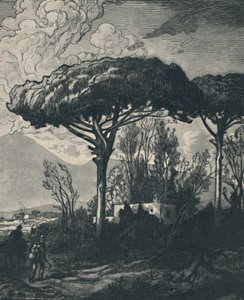 Wezuwiusz z Pompejów, 1919