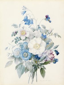 Niebieskie astry, róża spinosissima (hybryda), dzwonek zajęczy, altówki, goździk i dzika róża autorstwa Pierre Joseph Redouté