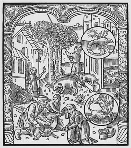 Listopad, zabicie świni i zbieranie żołędzi, Skorpion, ilustracja z „Almanachu Bergerów”, 1491 (ksylografia)