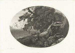 Wyrwany pień drzewa na wybrzeżu