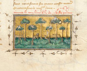 Fragment strony z „De Proprietatibus Rerum” Bartholomeusa Anglicus, we francuskim tłumaczeniu Jeana Corbechona, c.1390