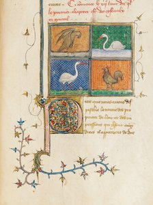 Strona z „Właściwości rzeczy” Bartłomieja Anglika we francuskim tłumaczeniu Jeana Corbechona, c.1390