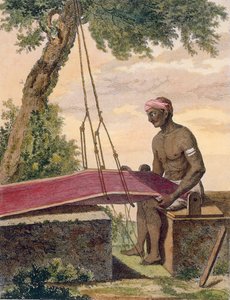 Tkacz tkanin,1782. autorstwa Pierre Sonnerat