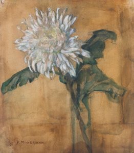 Chryzantema autorstwa Piet Mondrian
