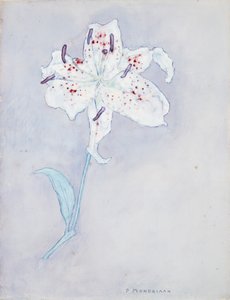 Lilia, ok. 1920-25 (akwarela na papierze) autorstwa Piet Mondrian