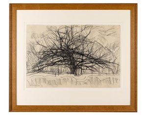 Studium do Szarego Drzewa, 1911 (czarna kredka na papierze) autorstwa Piet Mondrian