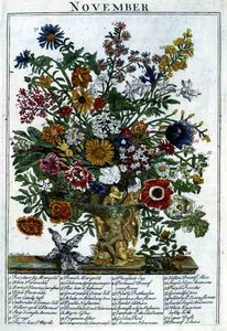 Listopad, z „The Flower Garden Displayed” Roberta Furbera (ok. 1674-1756), sztych. James Smith, wyd. 1732 (kolorowy grawerunek)
