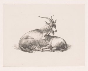 Buck i koza autorstwa Pieter Bartholomeusz. Barbiers