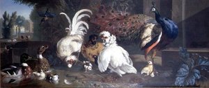 Paw, Kurczaki, Kaczki i Zimorodek autorstwa Pieter Casteels