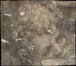 Głowa brodatego mężczyzny patrząca w górę autorstwa Pieter Coecke van Aelst