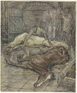 Rzeź dwóch koni
