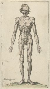 Studium nagiego mężczyzny Studia anatomiczne (tytuł serii)