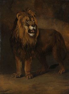 Lew z menażerii króla Ludwika Napoleona, 1808
