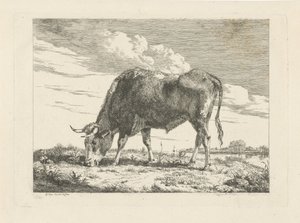 pasąca się krowa autorstwa Pieter Gerardus van Os