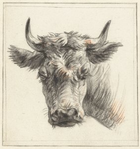 Głowa krowy autorstwa Pieter Gerardus van Os