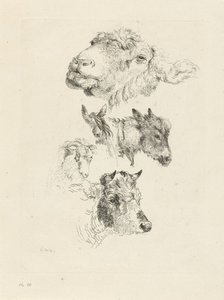 Arkusz do nauki z głowami owiec, koni, osłów, baranów i byków autorstwa Pieter Gerardus van Os
