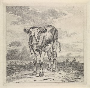 Pejzaż z łydką autorstwa Pieter Janson