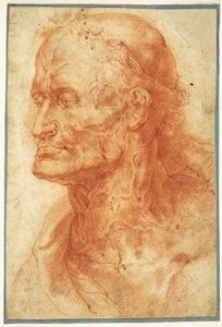Studium głowy starca, ok. 1602. autorstwa Pieter Paul Rubens