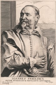 Joannes Snellincx, malarz postaci ludzkich z Antwerpii